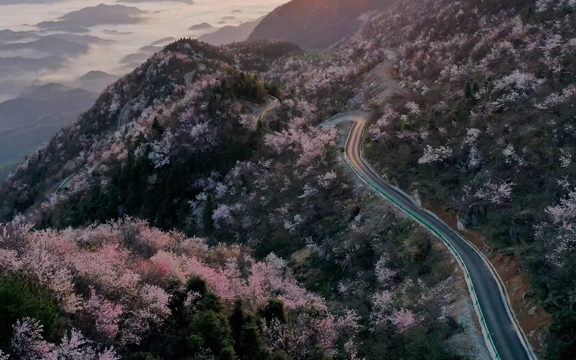 ag������Ϸ��(�й�)���Ź���