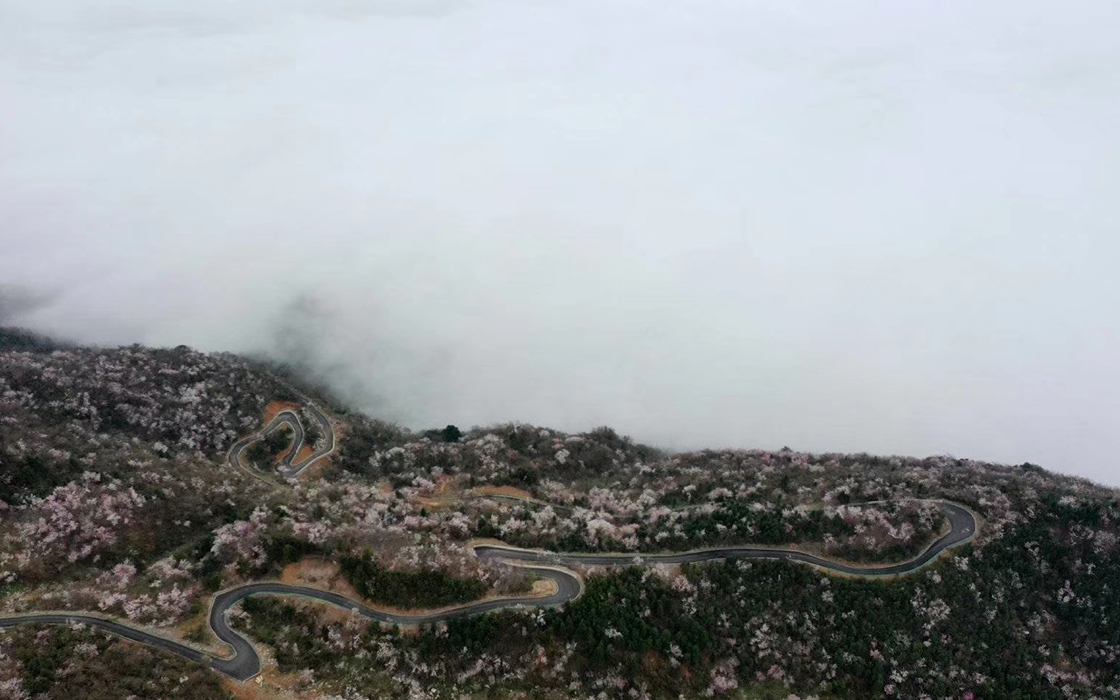 ag������Ϸ��(�й�)���Ź���