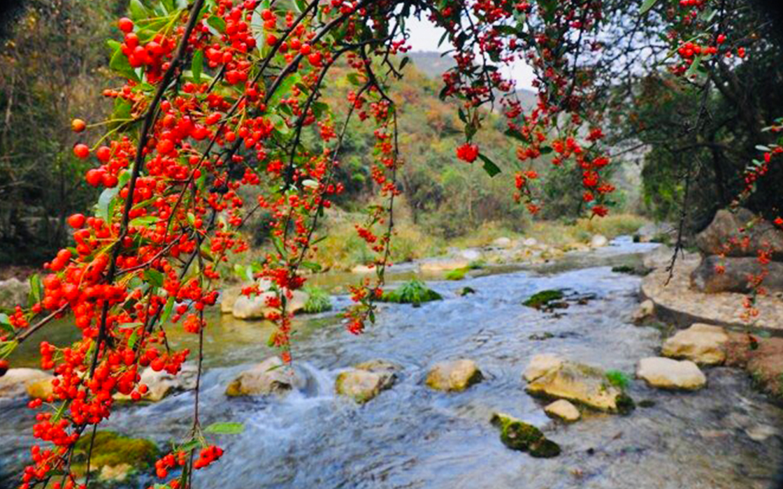 ag������Ϸ��(�й�)���Ź���