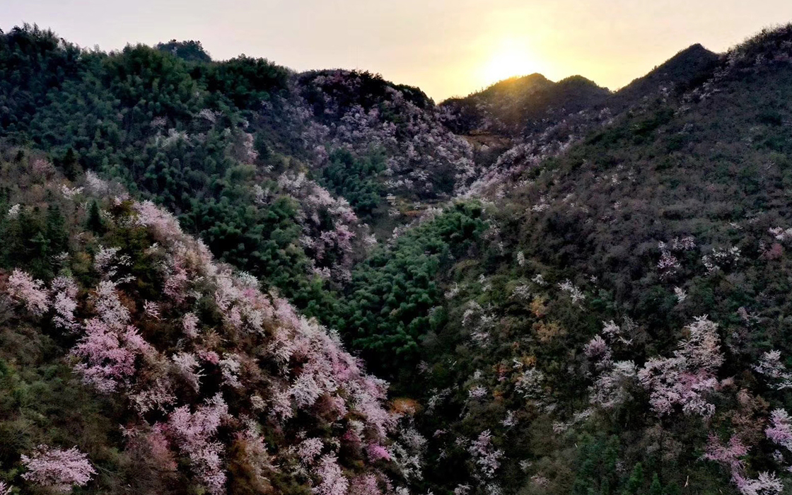 ag������Ϸ��(�й�)���Ź���