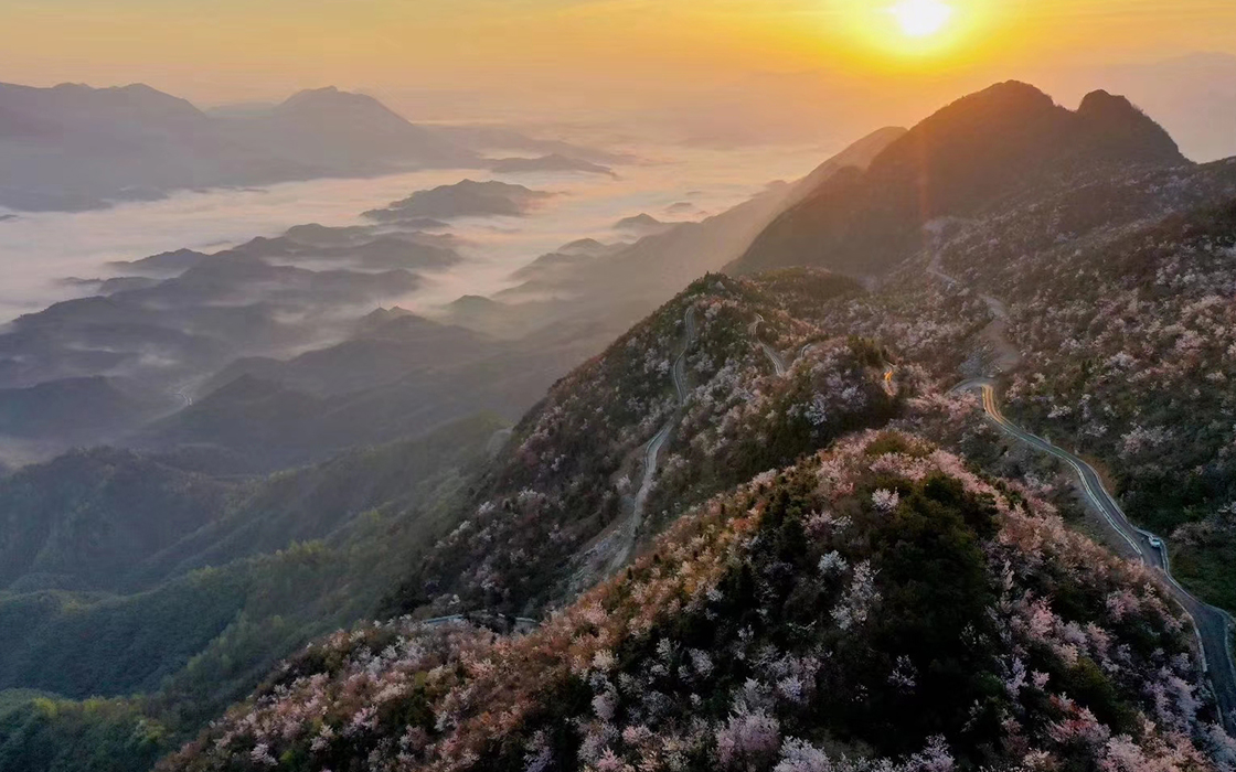 ag������Ϸ��(�й�)���Ź���