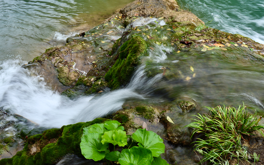 ag������Ϸ��(�й�)���Ź���