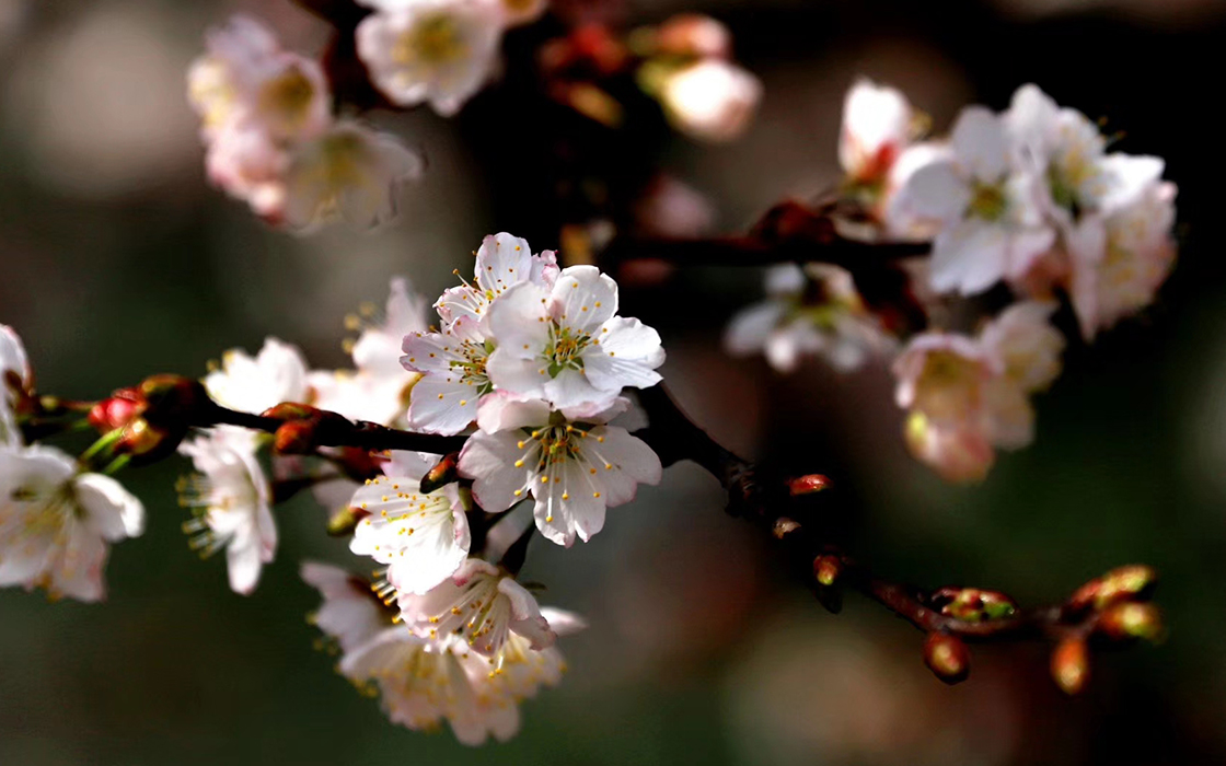 ag������Ϸ��(�й�)���Ź���