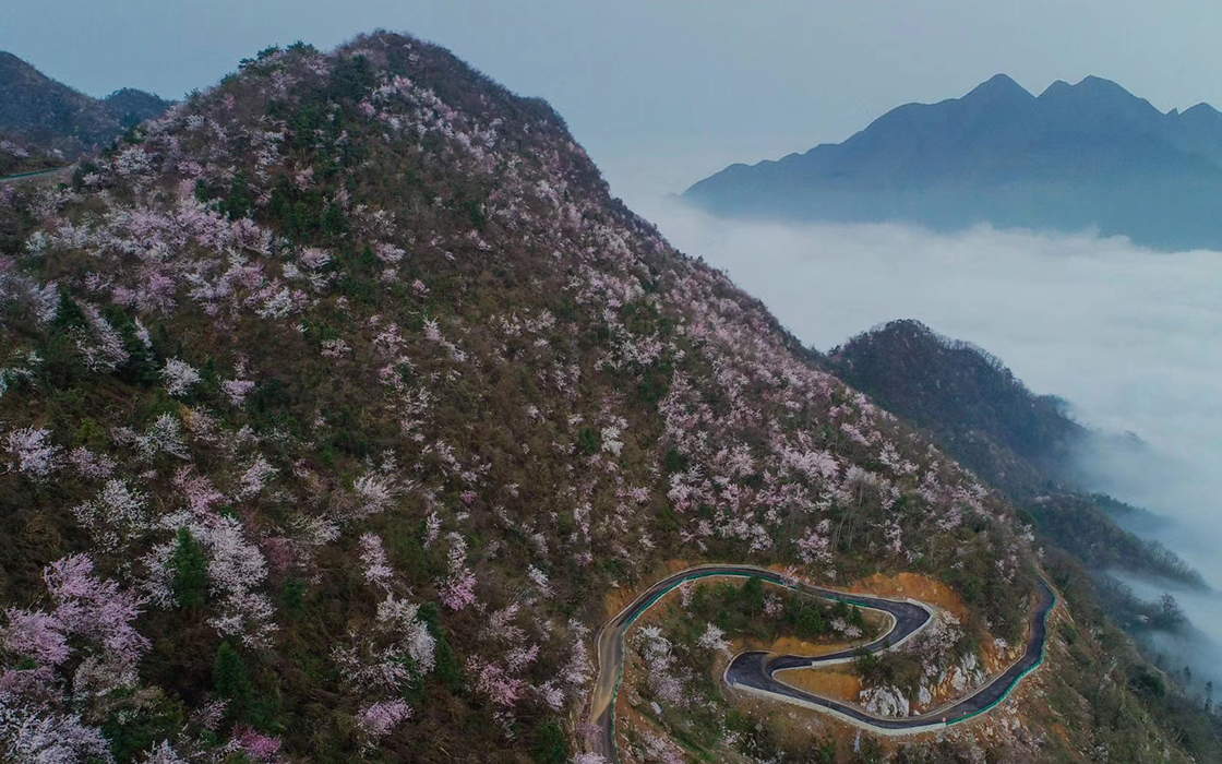 ag������Ϸ��(�й�)���Ź���