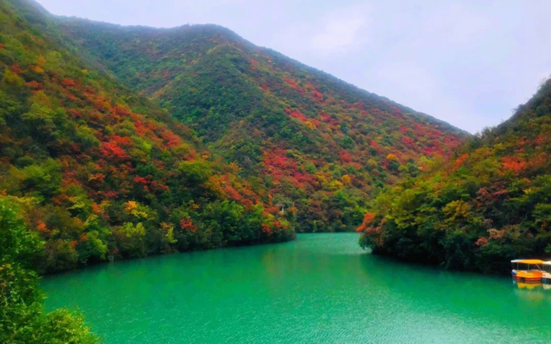 ag������Ϸ��(�й�)���Ź���