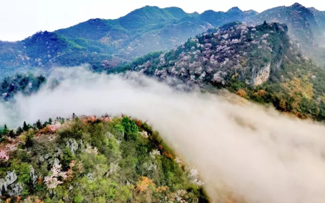 ag������Ϸ��(�й�)���Ź���