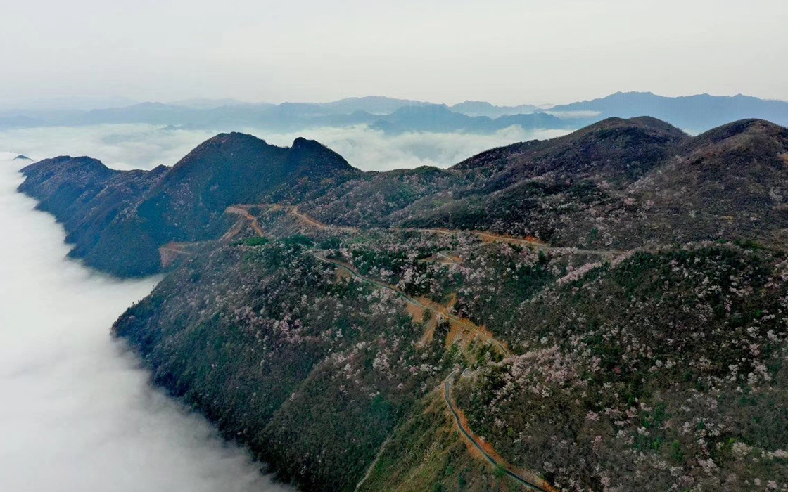 ag������Ϸ��(�й�)���Ź���