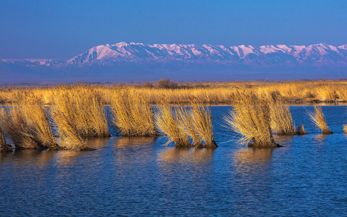 ag������Ϸ��(�й�)���Ź���