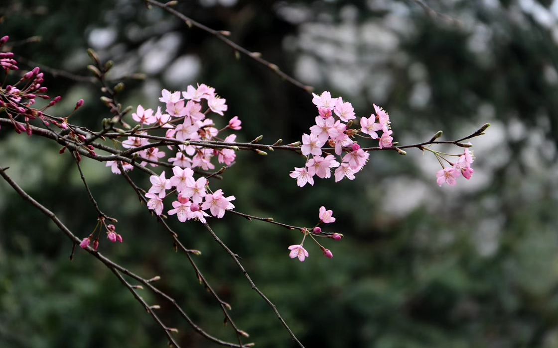 ag������Ϸ��(�й�)���Ź���