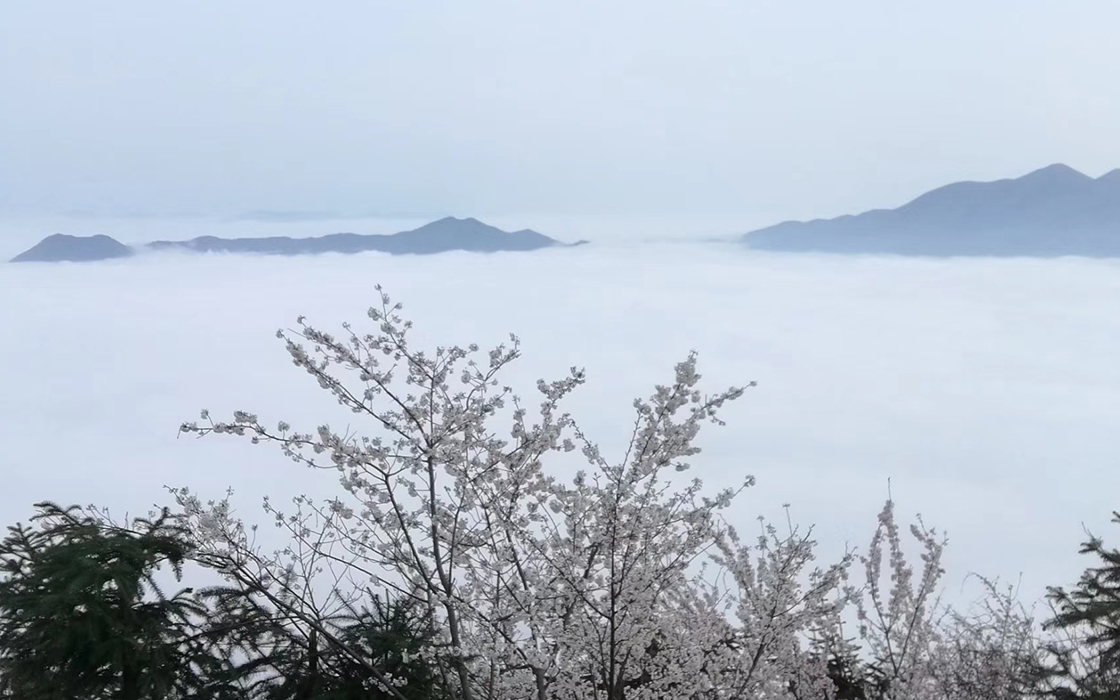 ag������Ϸ��(�й�)���Ź���