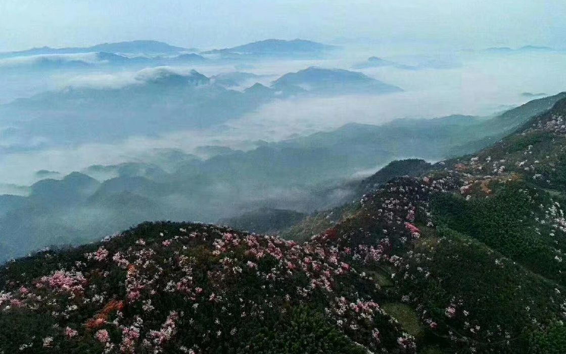 ag������Ϸ��(�й�)���Ź���