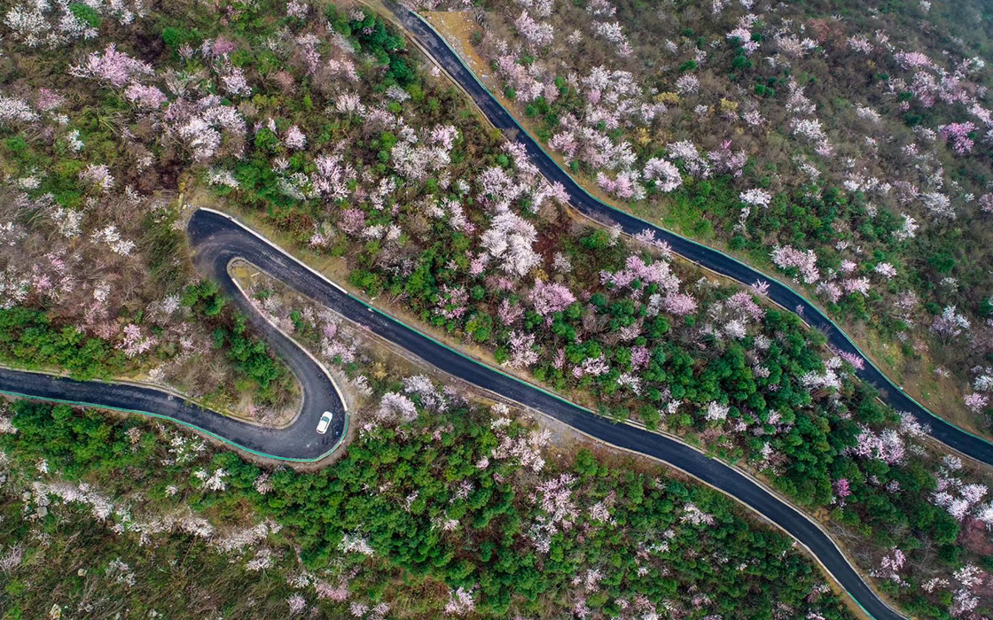 ag������Ϸ��(�й�)���Ź���