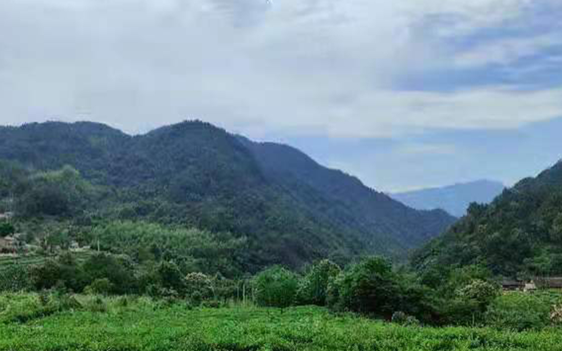 ag������Ϸ��(�й�)���Ź���