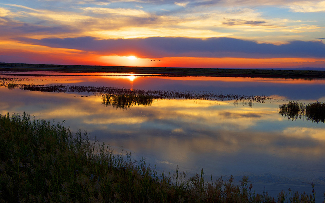 ag������Ϸ��(�й�)���Ź���