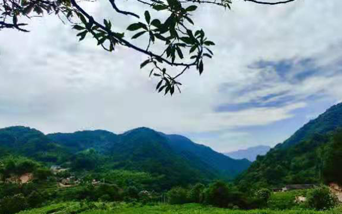 ag������Ϸ��(�й�)���Ź���