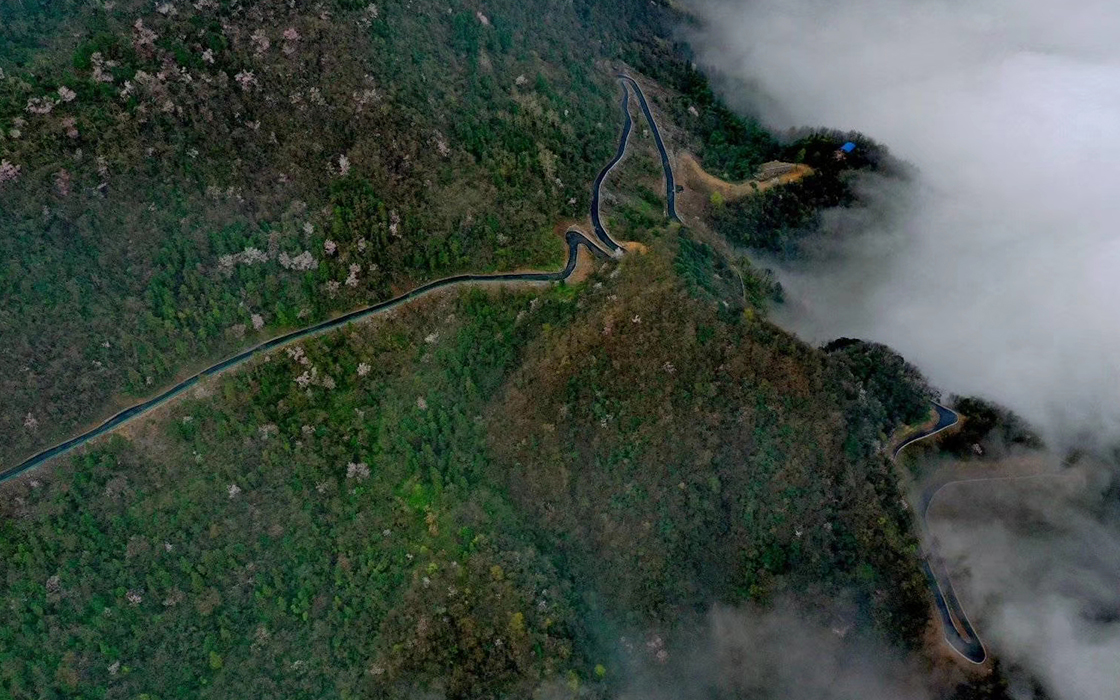 ag������Ϸ��(�й�)���Ź���