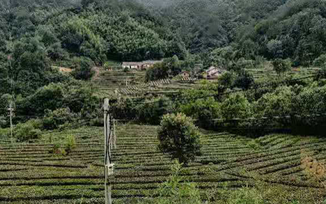 ag������Ϸ��(�й�)���Ź���