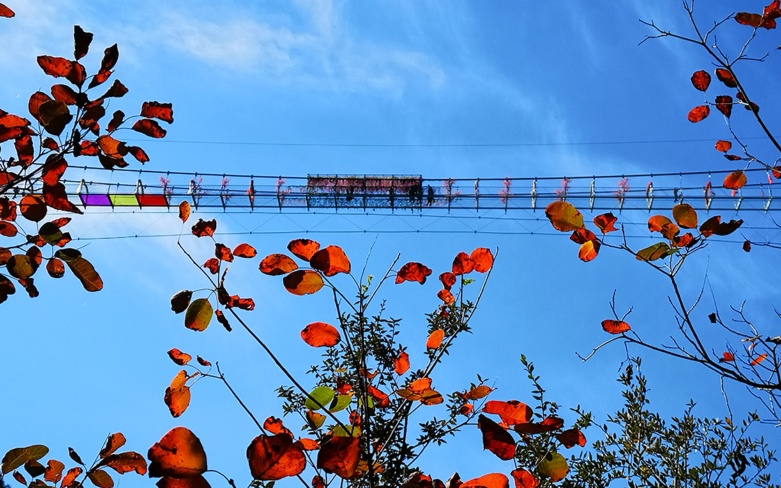 ag������Ϸ��(�й�)���Ź���